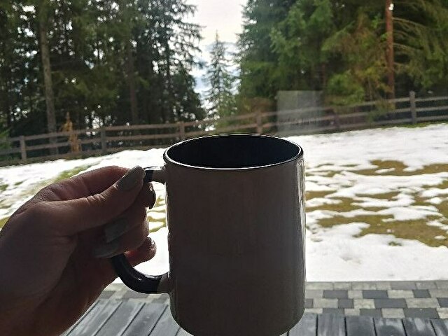 Perfil con Songbird - Imagen  n°23