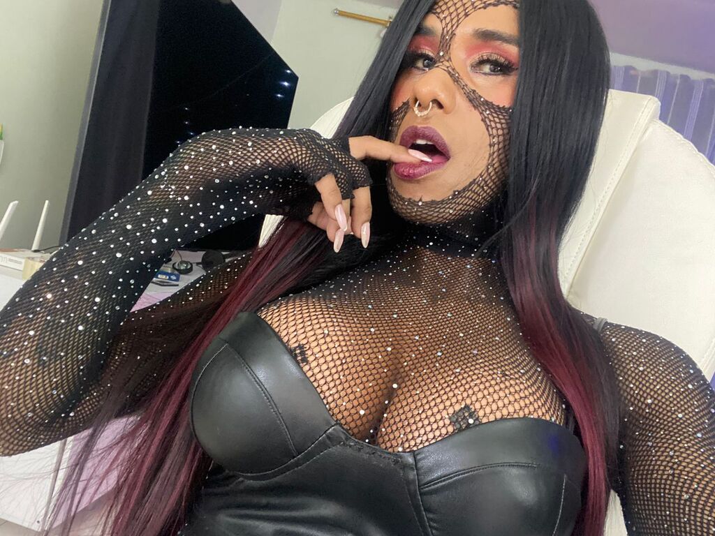 Profil de Stephydark - Photo n°0