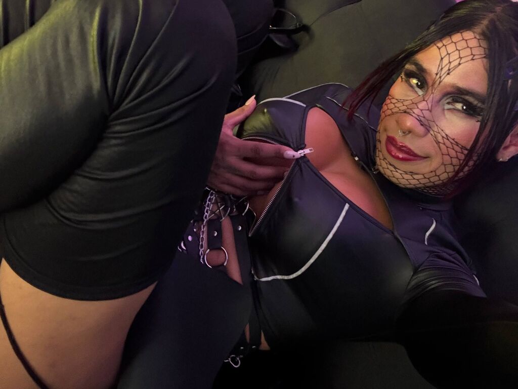 Perfil con Stephydark - Imagen  n°1