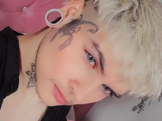 Stvewolfxx' profilo - Immagine n°0