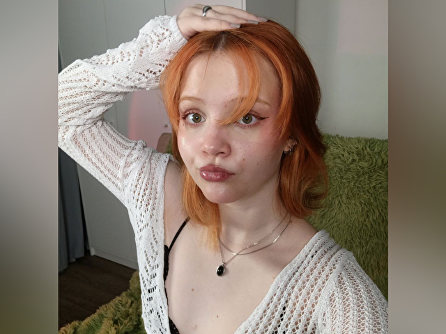 Perfil con Sunxflower - Imagen  n°10