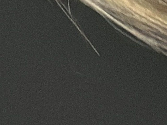 Sweetbigass's profile - Image n°3