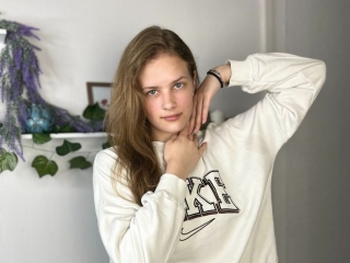 Profil de Synnovebevis