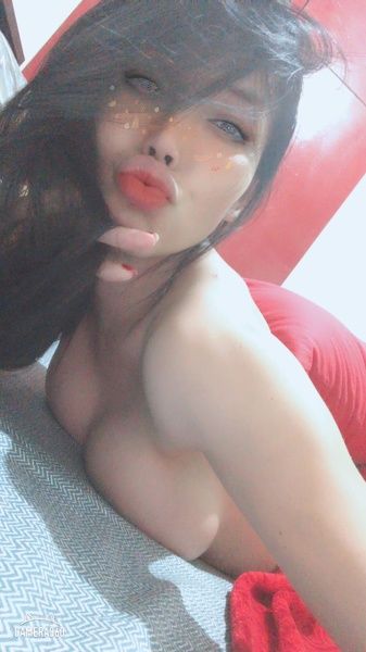 TiKoL's profiel - Afbeelding n°46