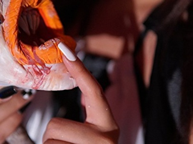 Tamaramar's profiel - Afbeelding n°11