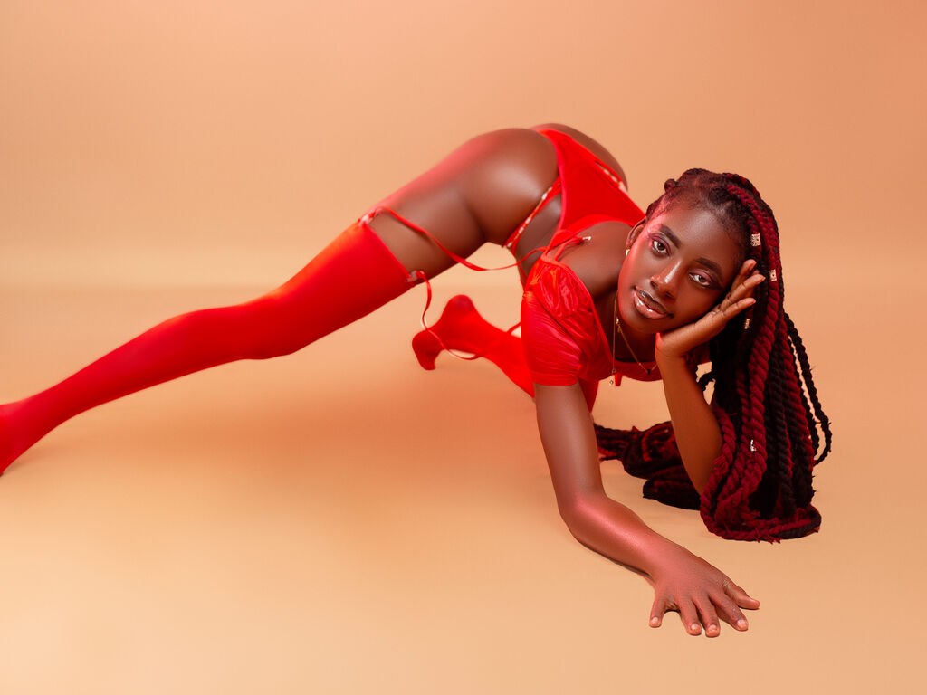 Perfil con Taratoure - Imagen  n°2