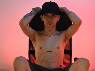 Profil de Tatevogel