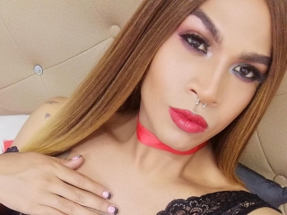 Sexcam Live Show von Taylorsanbrano