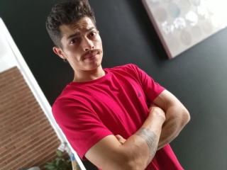 Profil de Taylorstele