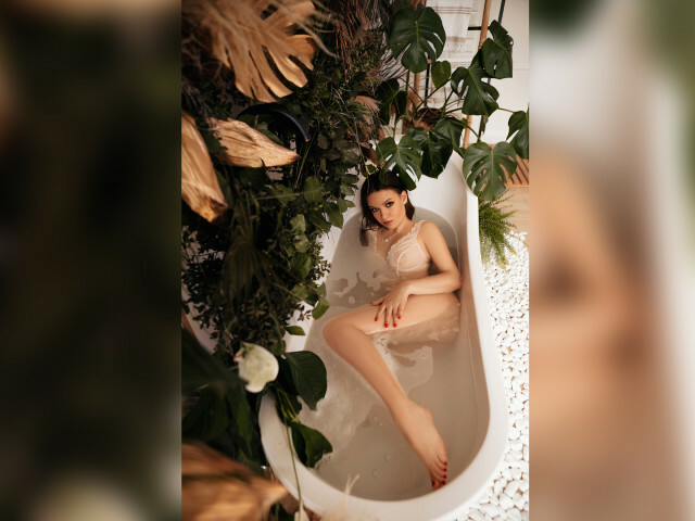 Tender's profiel - Afbeelding n°25