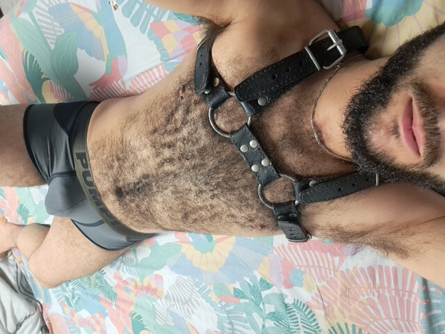Thebadboyfun's profile - Image n°1