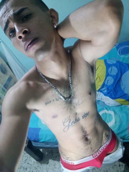 Perfil con thick99 - Imagen  n°5