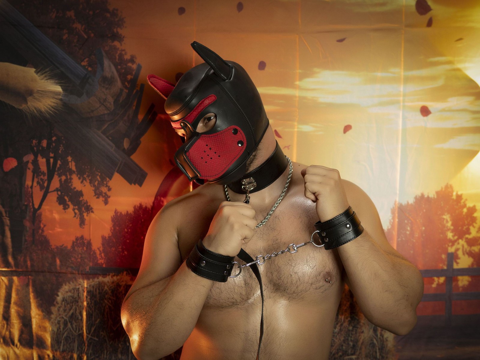 Profil de Thomas_G27 - Photo n°1