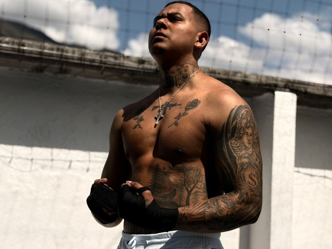 Profil de Thomashardy - Photo n°1