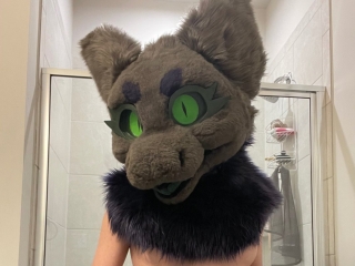 Profil de Tiedmuzzled