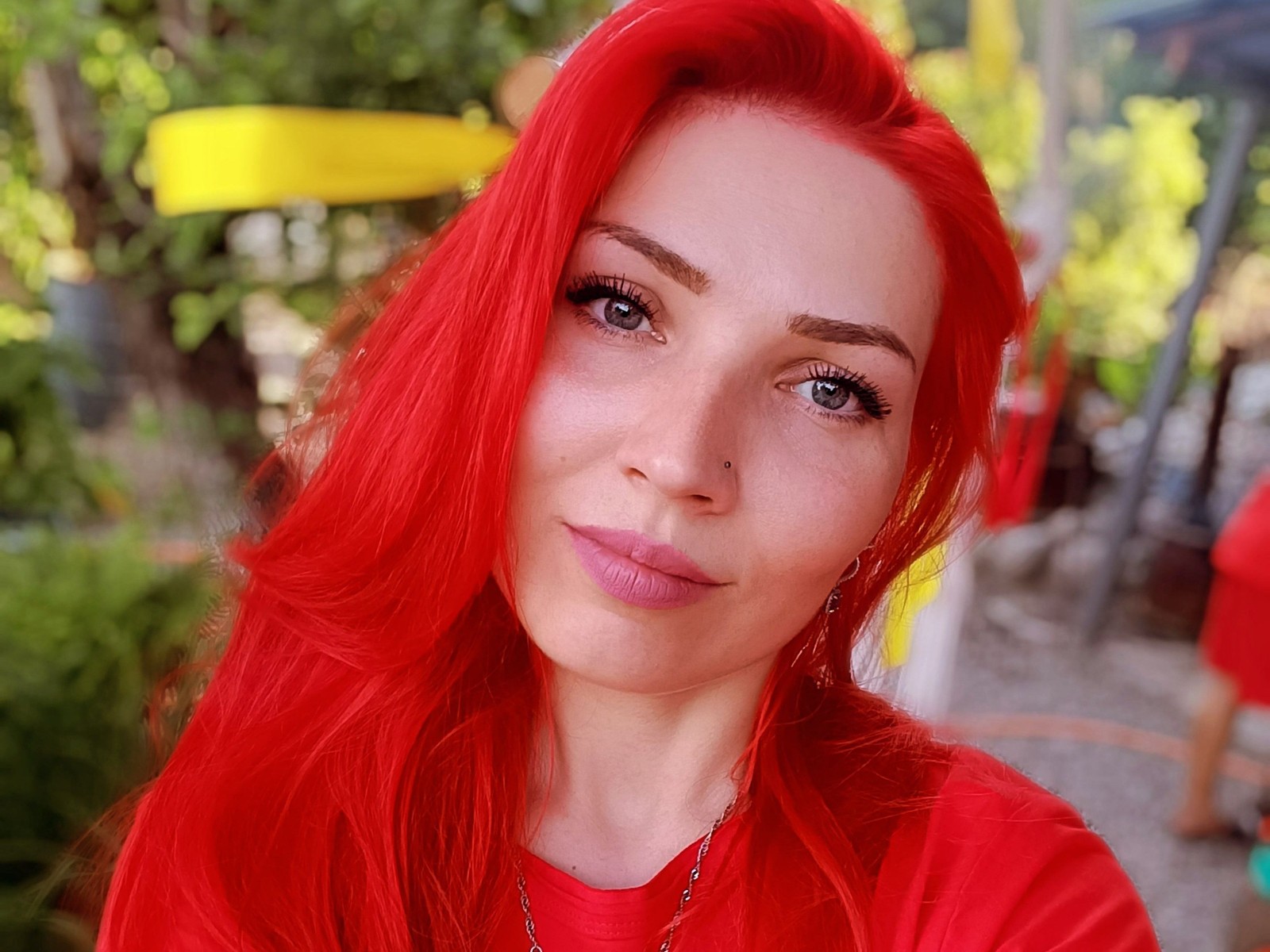 Tinamotus's profile - Image n°1