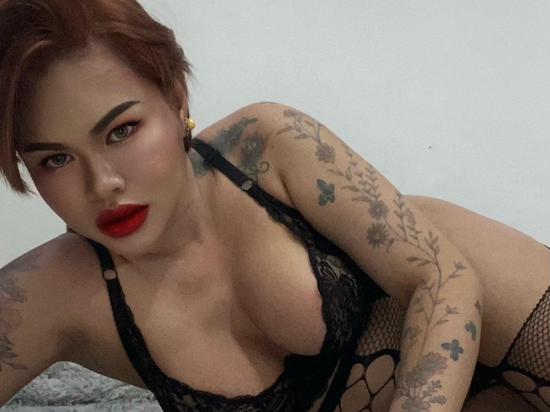 Topadmiralaubrey's Profil - Bild n°0