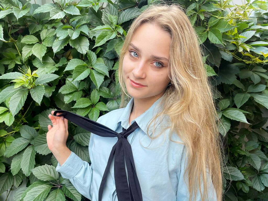 Toricrown's profile - Image n°1