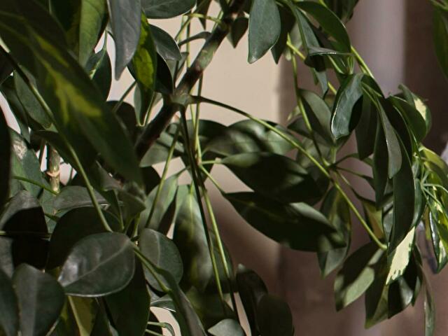 Profil de Troublemake3 - Photo n°4