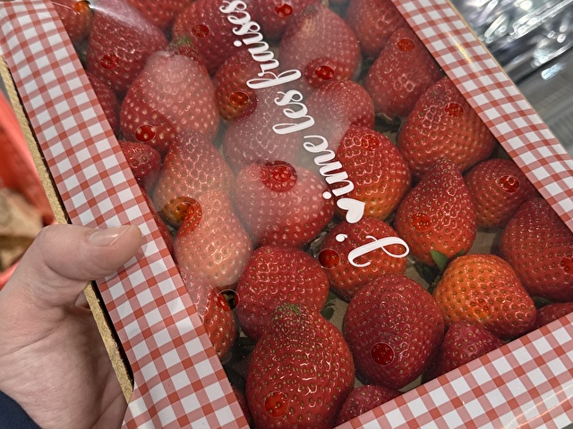 TTModel's profile - Image n°13