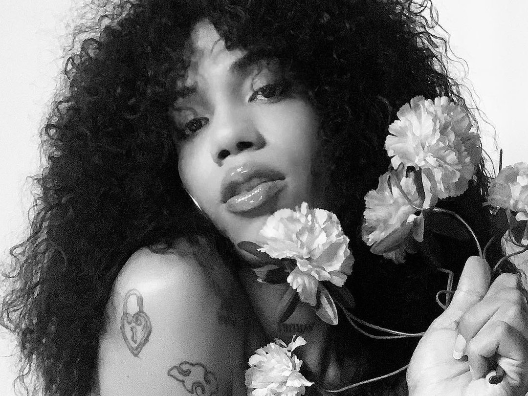 Turabittxx's profiel - Afbeelding n°0