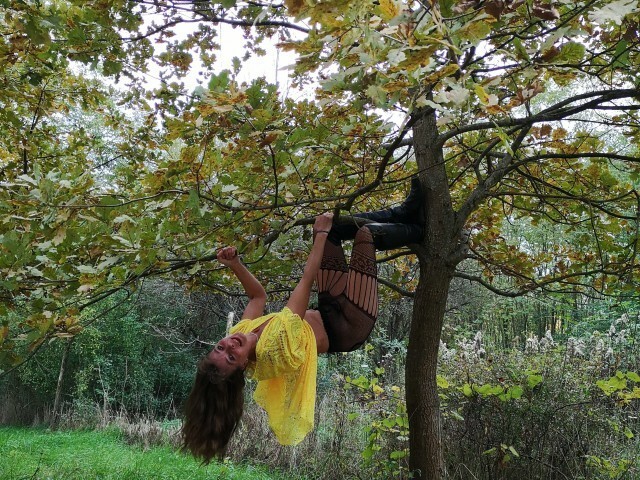 TwenteTijger's profiel - Afbeelding n°13