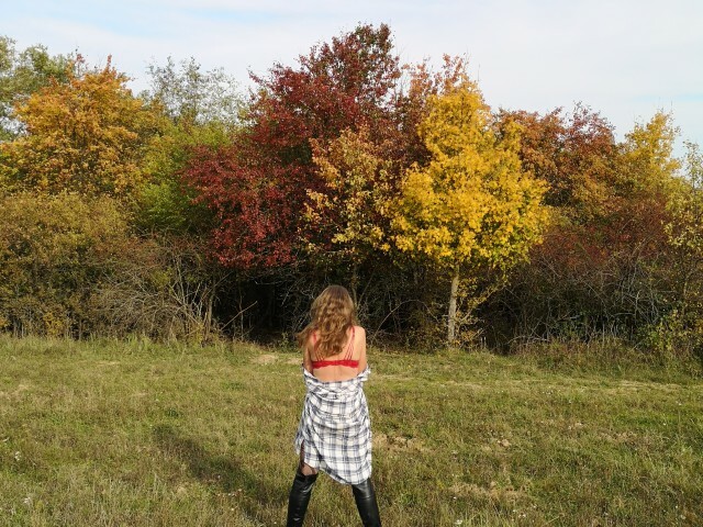 TwenteTijger's profiel - Afbeelding n°5