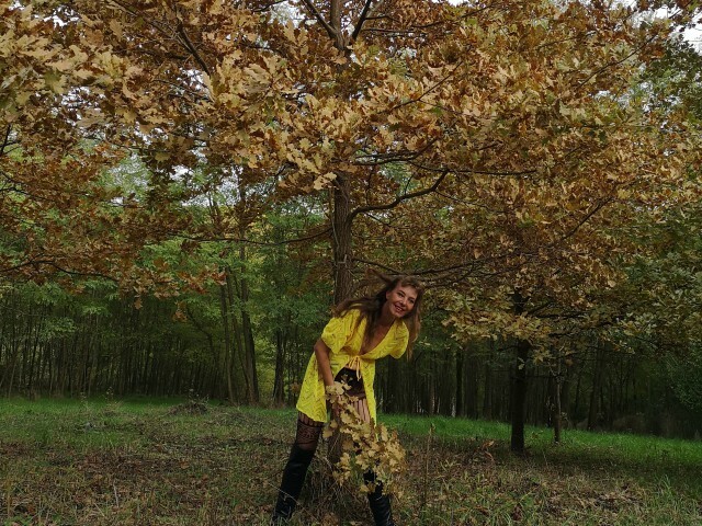 TwenteTijger's profiel - Afbeelding n°6