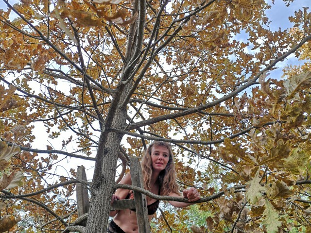 TwenteTijger's profiel - Afbeelding n°7