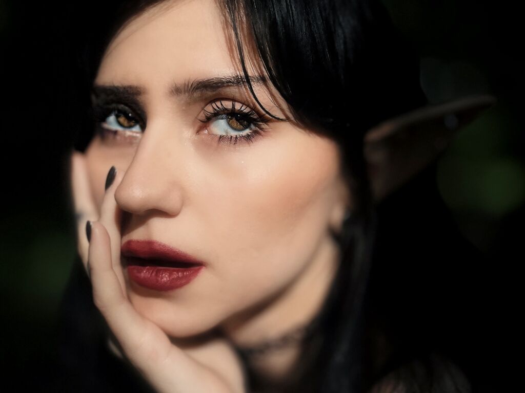 Vandahillty's profile - Image n°0