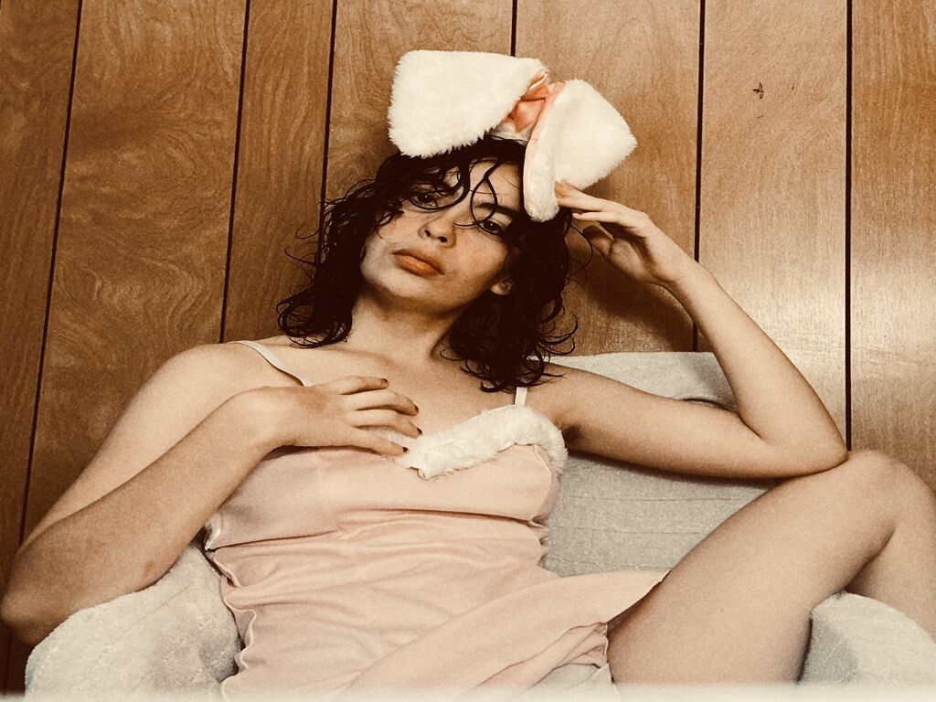 Velvetvixennoir's profile - Image n°0