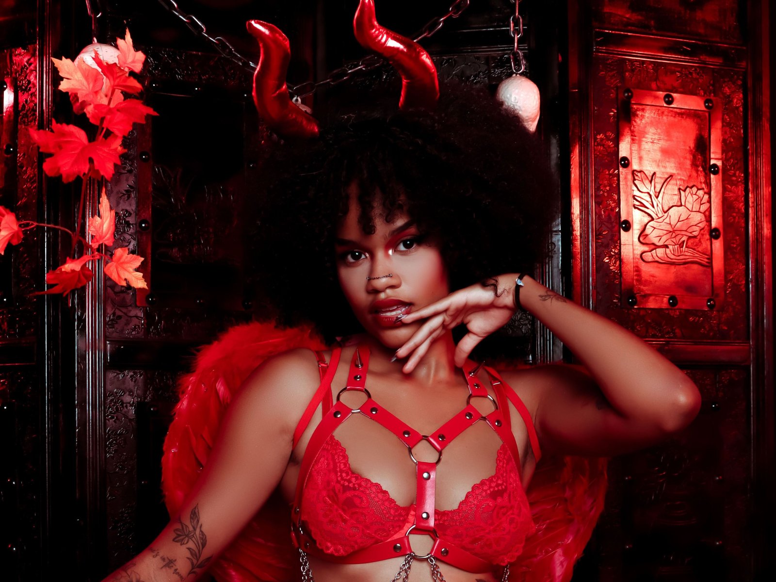 Venusfantasy19's Profil - Bild n°1