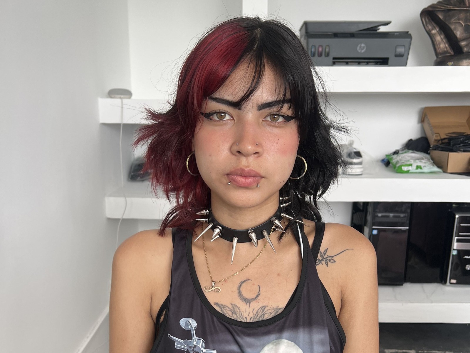 Veraonix's profile - Image n°0