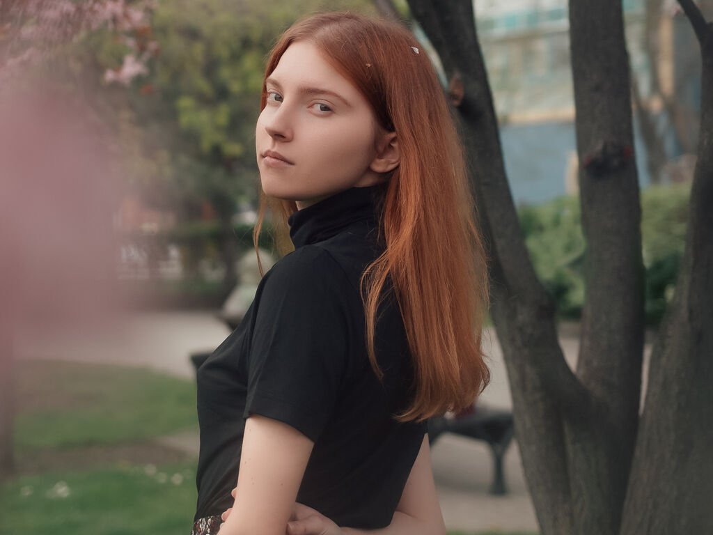 Veronafugler's profile - Image n°0
