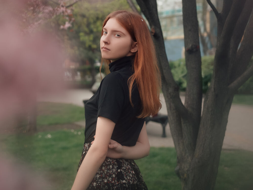 Veronafugler's profile - Image n°1