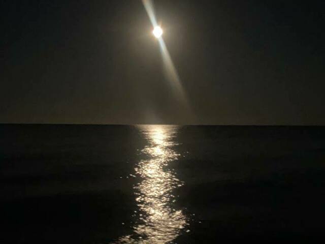 Veronika8's Profil - Bild n°17