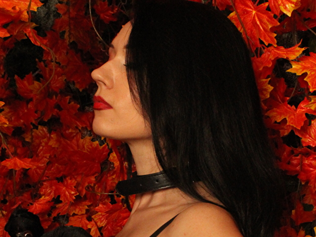 Victoryvega's profiel - Afbeelding n°4