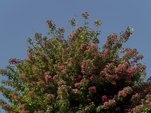 Viralove' profilo - Immagine n°58