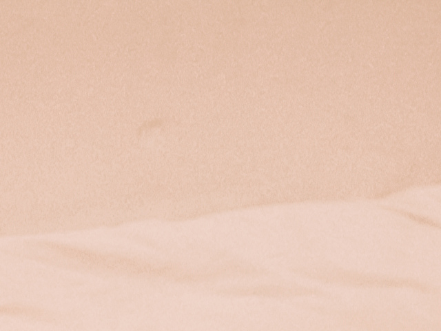 Viralove' profilo - Immagine n°4