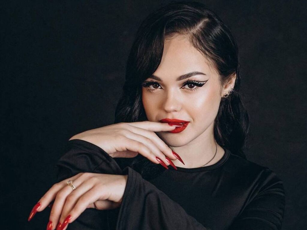 Perfil con Wendistiliner - Imagen  n°1