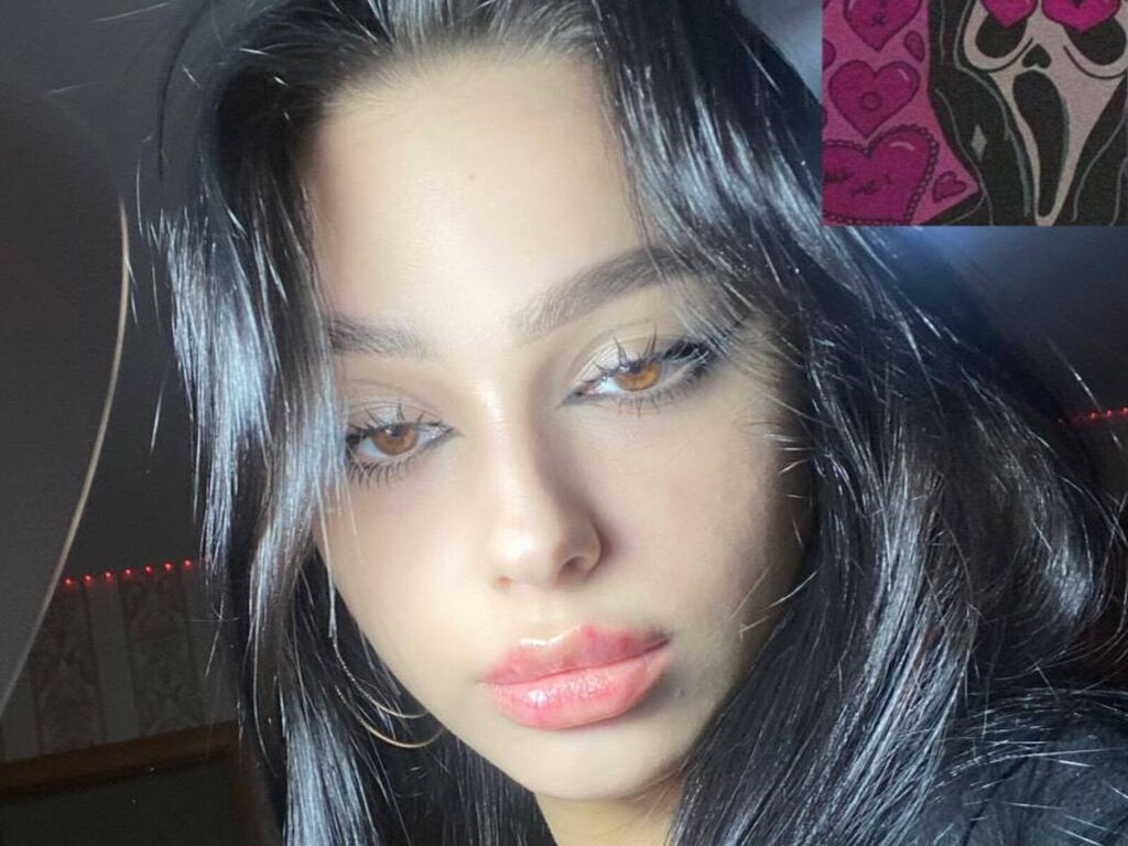Wildacast's profile - Image n°0