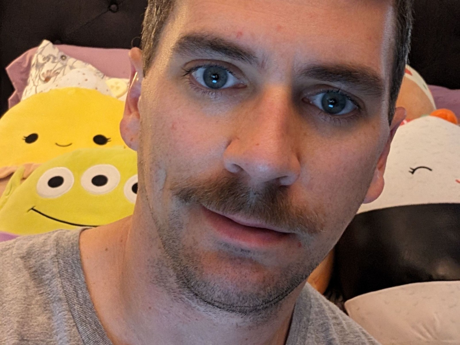 Wolfnasty's profile - Image n°0