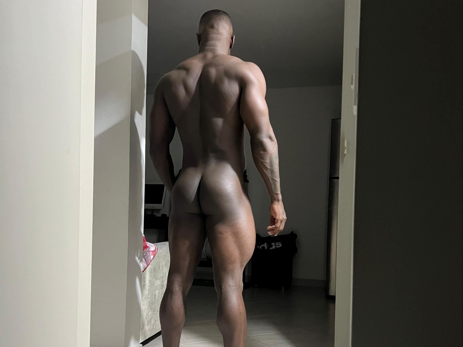 Xanderrocco's profile - Image n°1