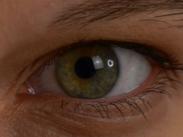 Xonalenei's Profil - Bild n°8