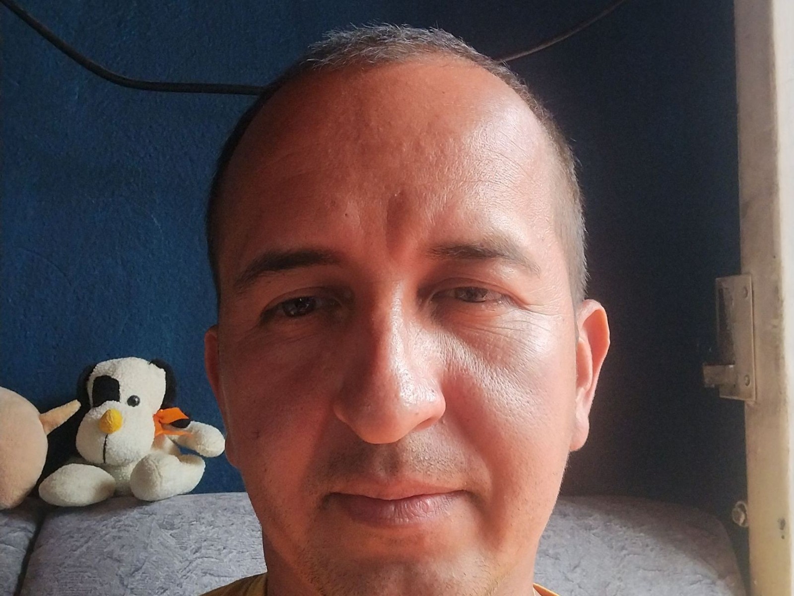 Profil de Yazforesolo - Photo n°0