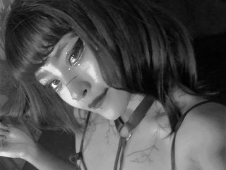 Profil de Zendamoretti