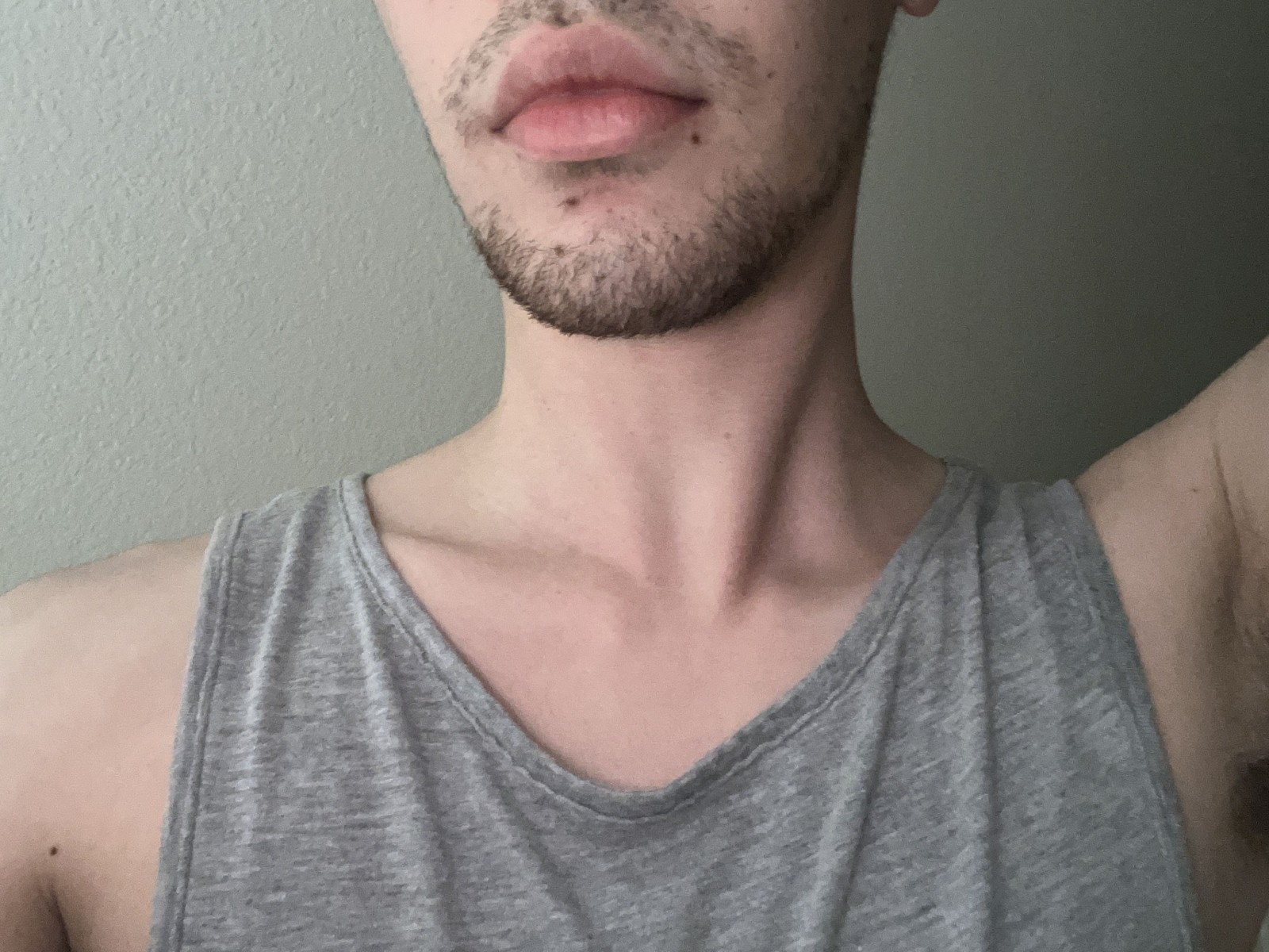 Zenolox's profile - Image n°0