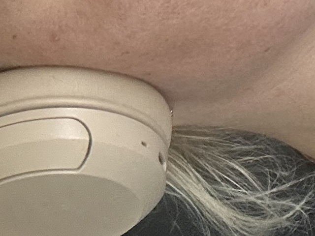 Zlatkovna's profiel - Afbeelding n°5